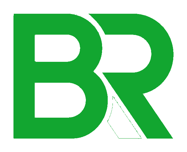 Bin Runner logo